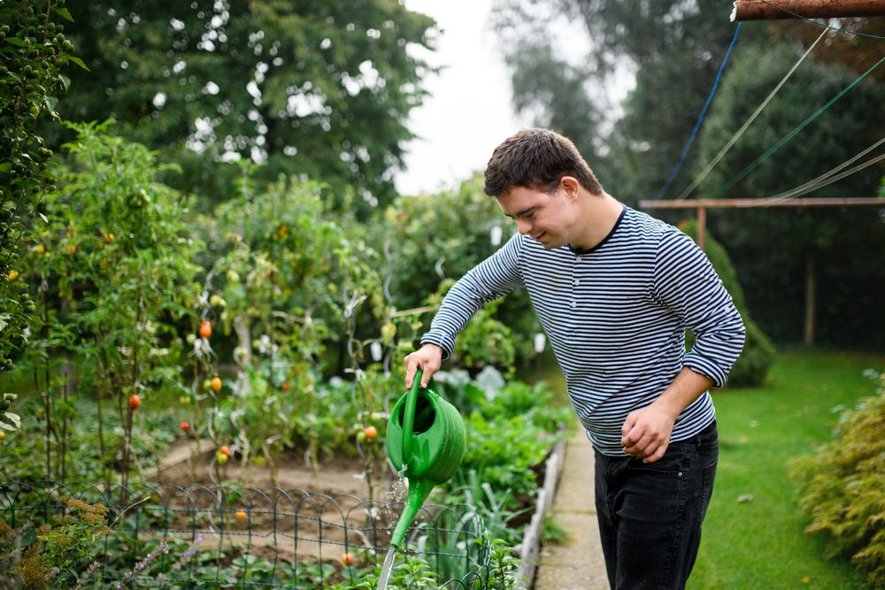 Down syndrome adult man watering plants in Cairns community garden